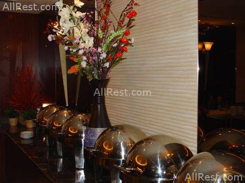 Hallmark Hotel 8